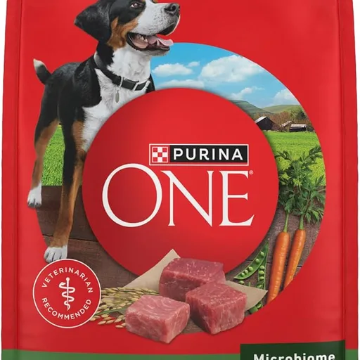 Purina ONE Lamb and Rice Formula Dry Dog Food