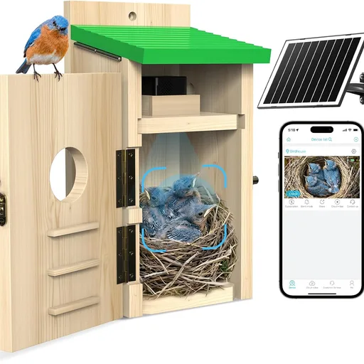 Bird House with Camera,Solar Smart Birdhouse with Camera Inside
