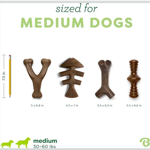 Benebone Medium 4-Pack Dog Toys for Aggressive Chewers