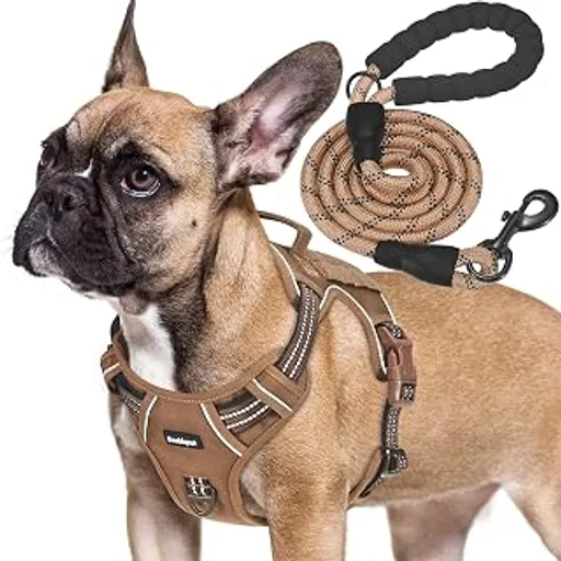 Beebiepet Tactical No Pull Dog Harness with Leash, Medium, Brown