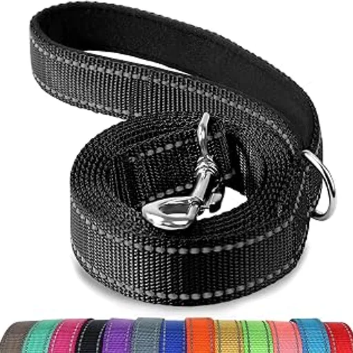 Joytale Reflective Dog Leash for Medium & Large Dogs, 6 FT x 1", Black