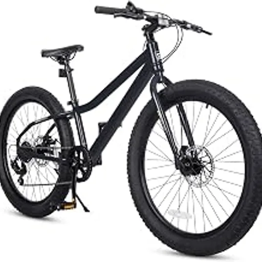 Fat Tire Kids Mountain Bike