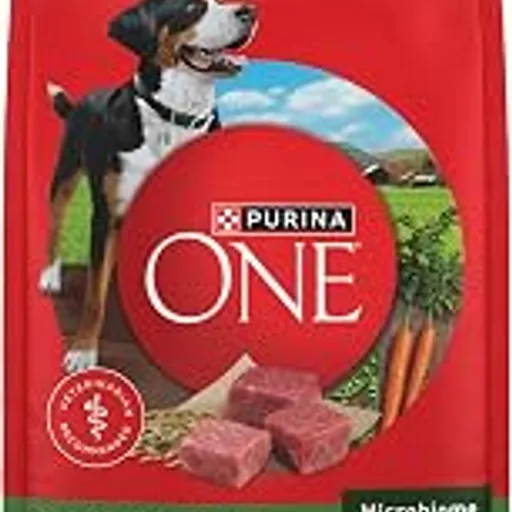 Purina ONE Lamb and Rice Dry Dog Food, 8 lb Bag