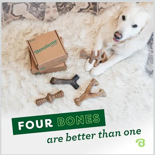 Benebone Medium 4-Pack Dog Toys for Aggressive Chewers