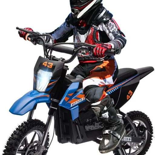 36V Electric Dirt Bike for Kids Motorcycle 500W Brushed Motor 15.5MPH